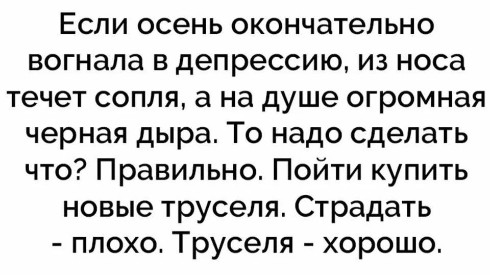 осень труселя.webp