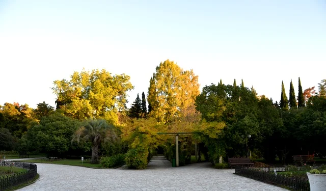 осень13 чат.webp