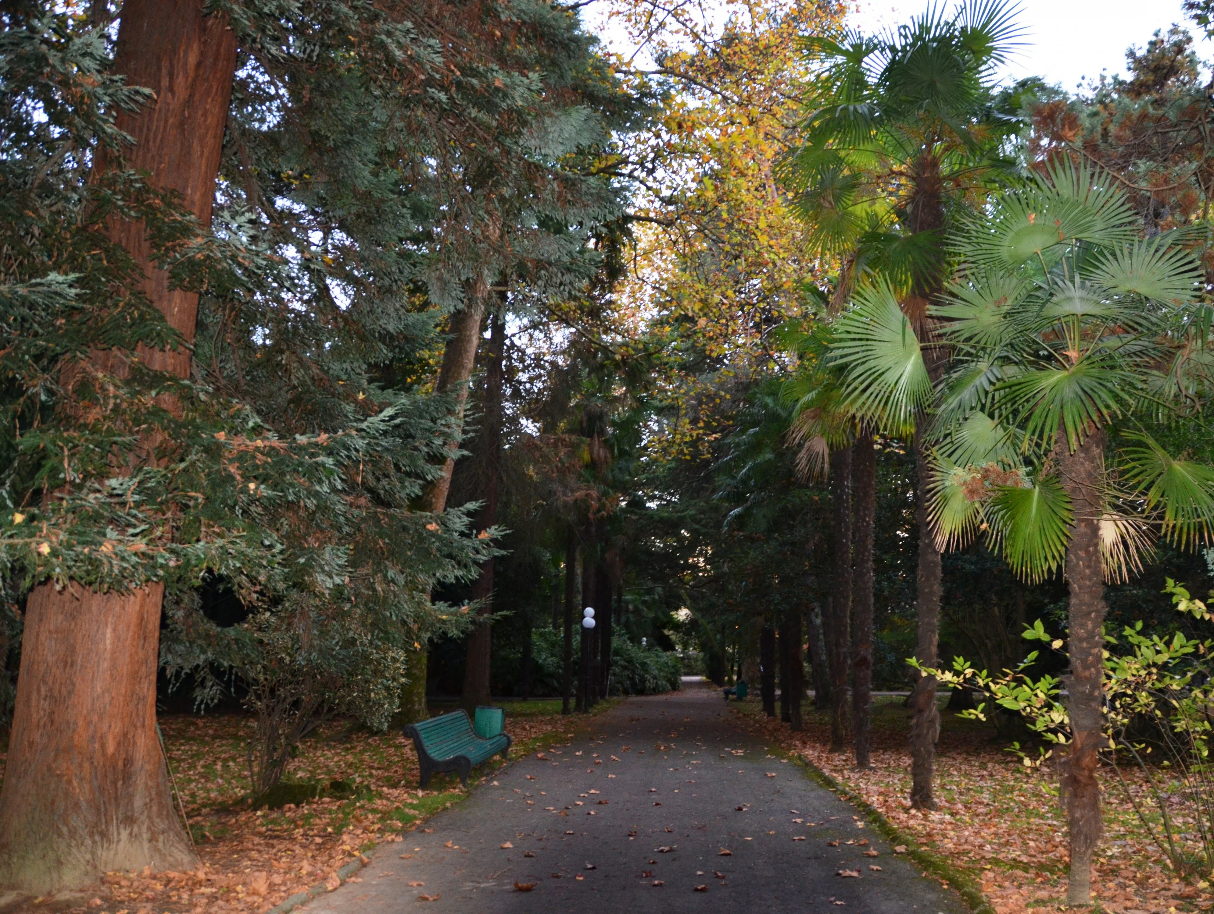 осень15 чат.webp