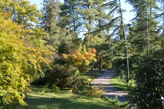 осень3 чат.webp