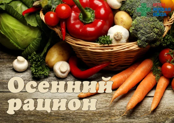 osenniy-ratsion-566x400.webp