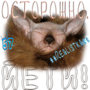 Осторожно, Йети! Realistka.png