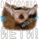 Осторожно, Йети! Realistka.webp