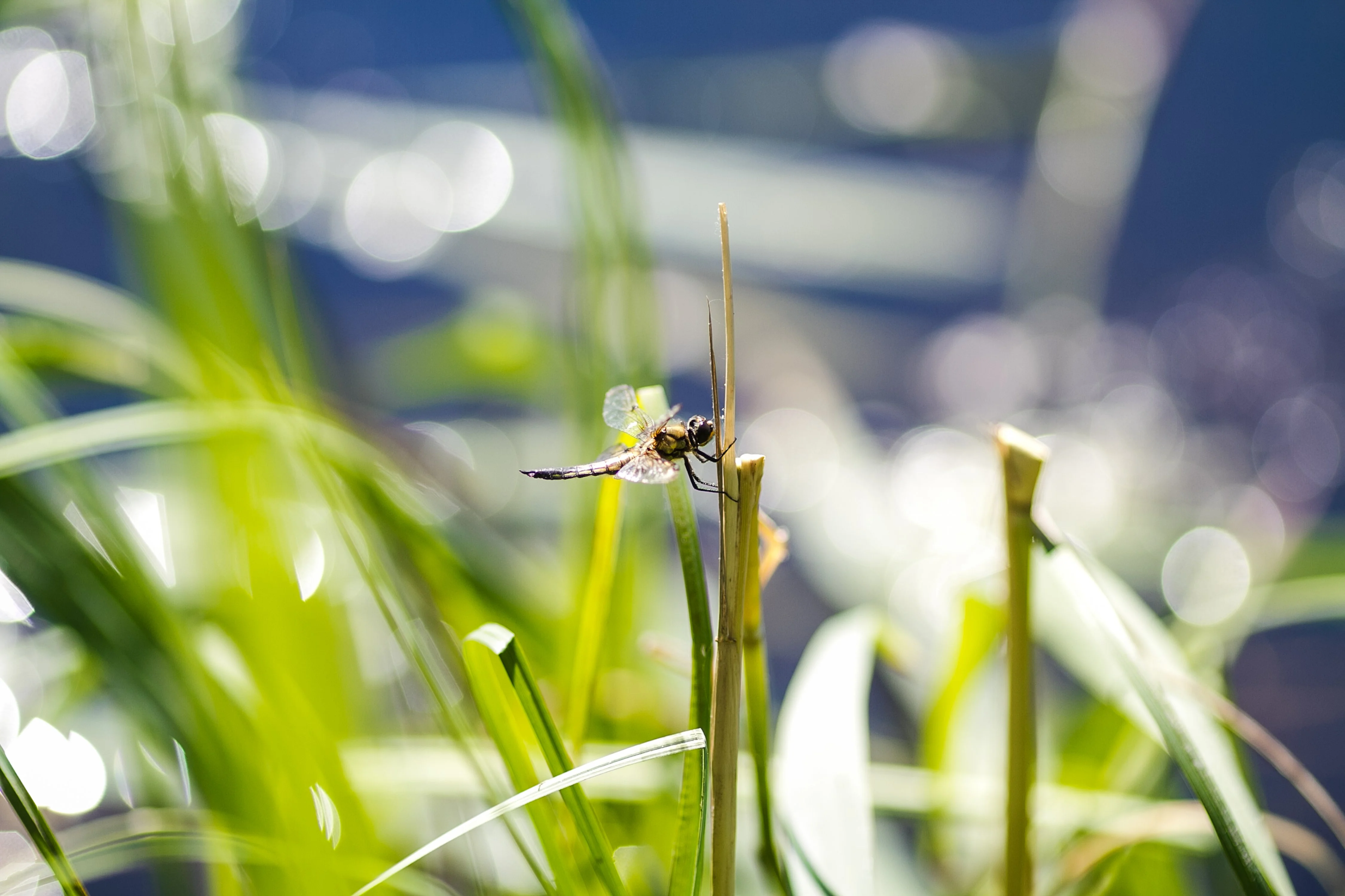 Острова (134).webp