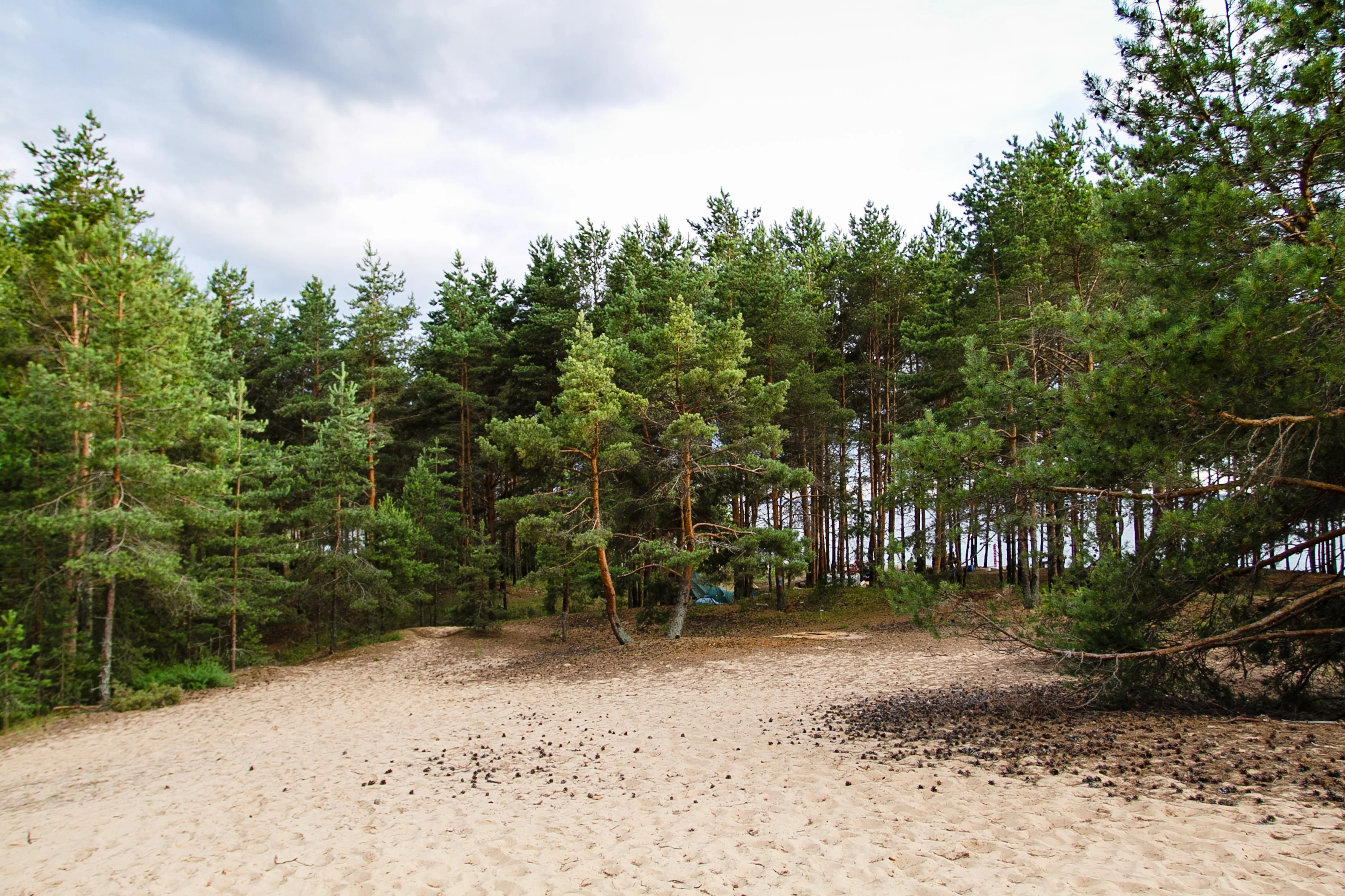 Острова (65).webp