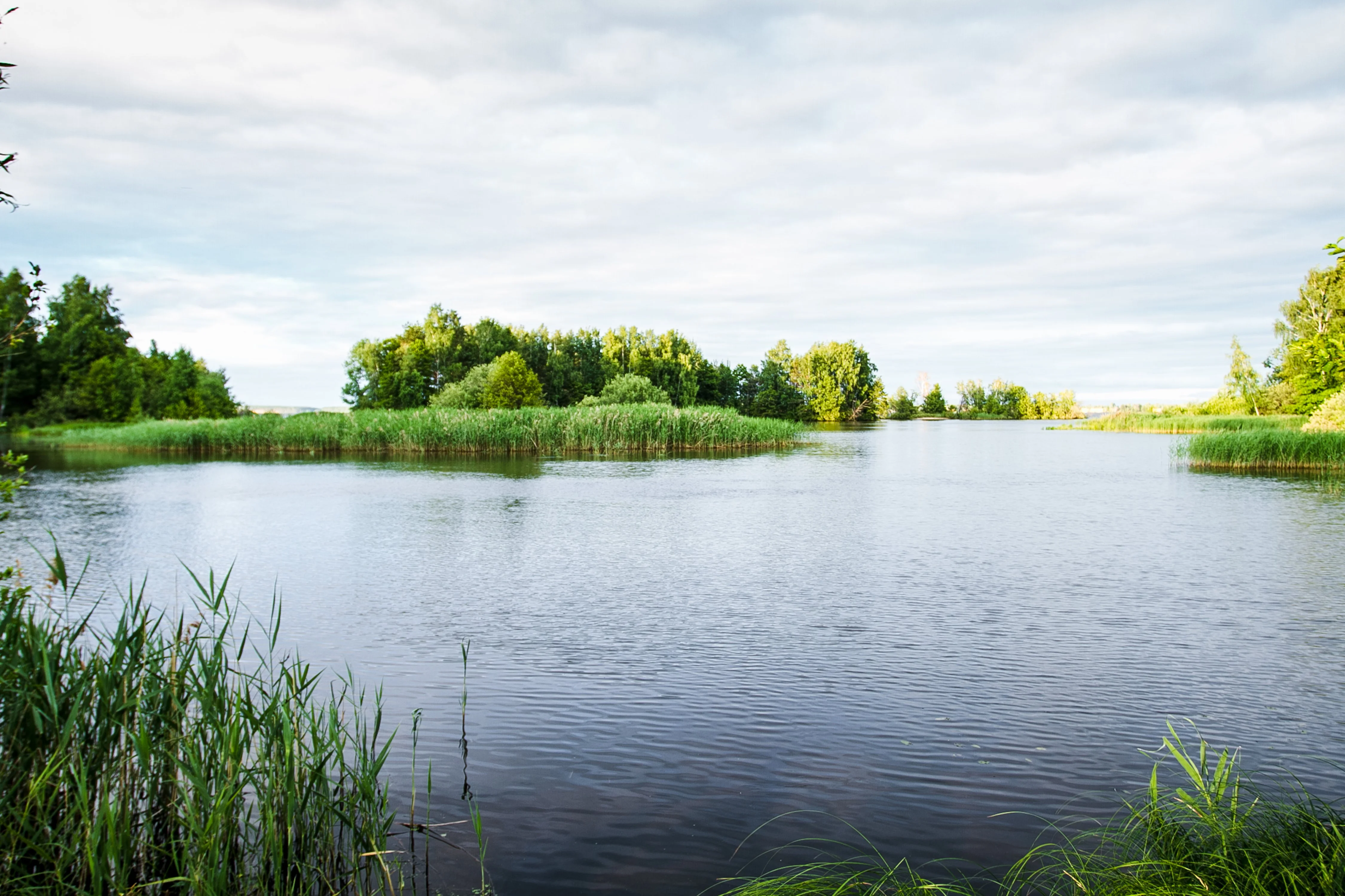 Острова (67).webp