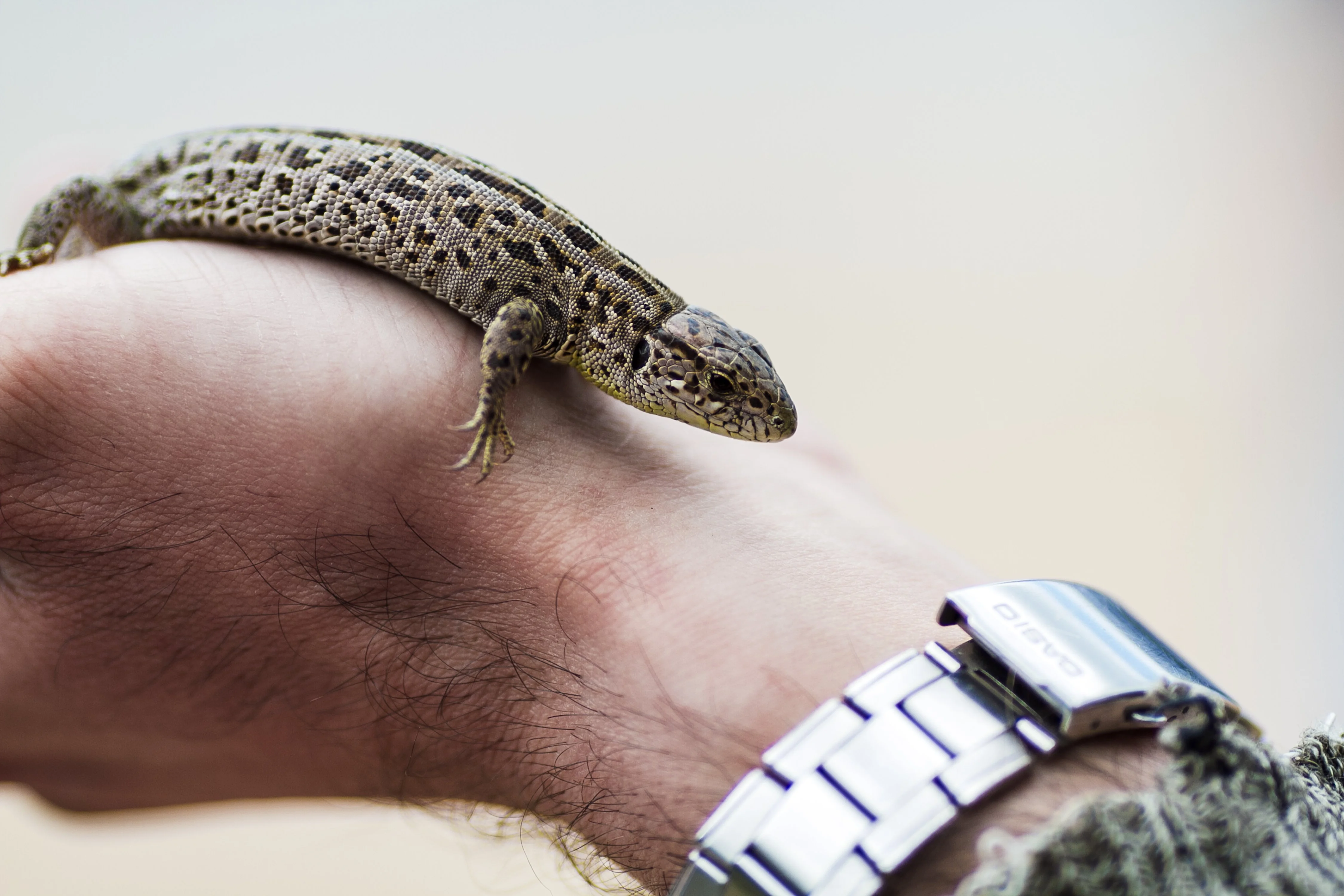 Острова (92).webp