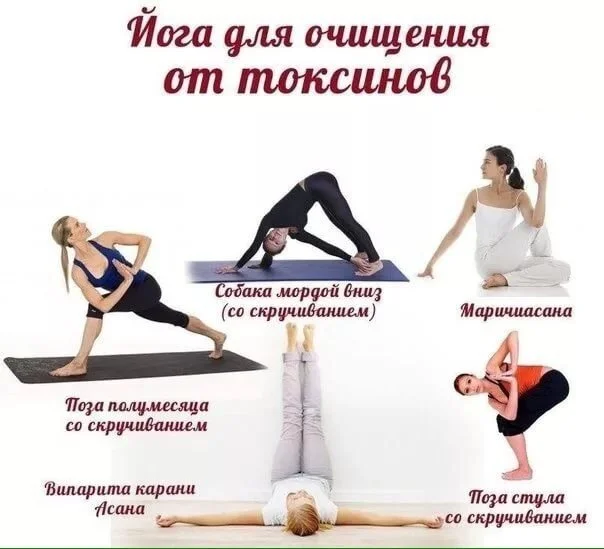 от токсинов.webp