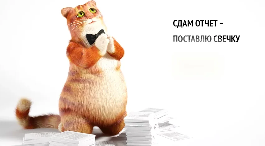 отчет.webp
