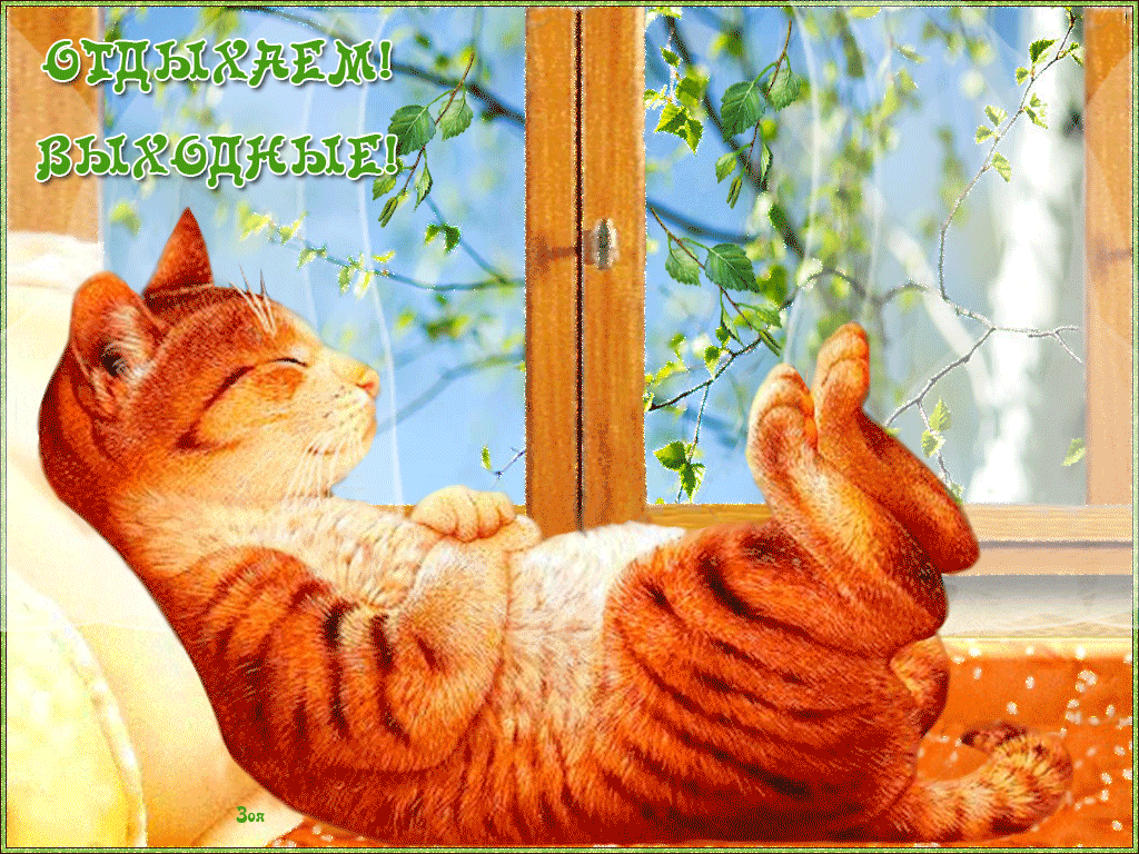 Otdyihaem-Vyihodnyie.gif