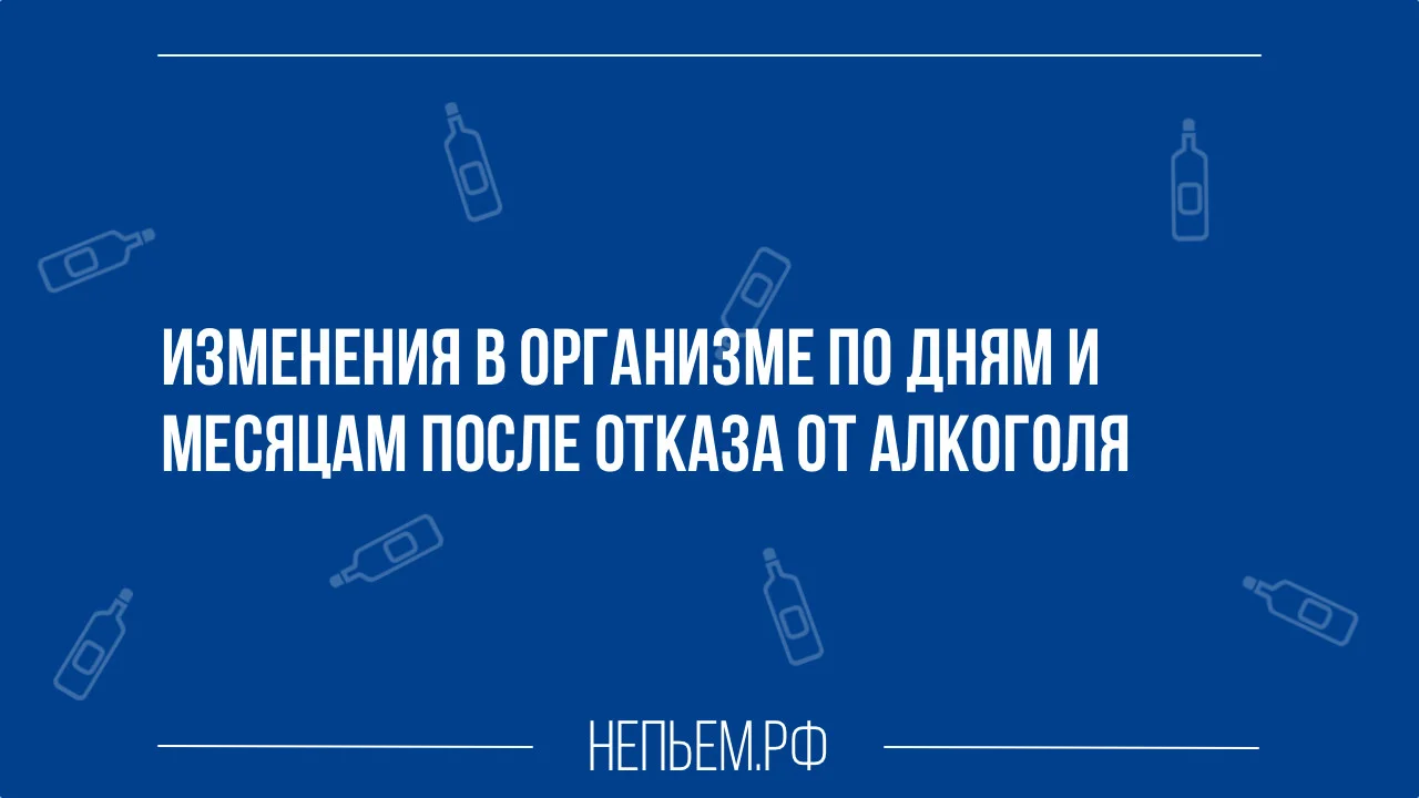 отказ от алкоголя по дням.webp