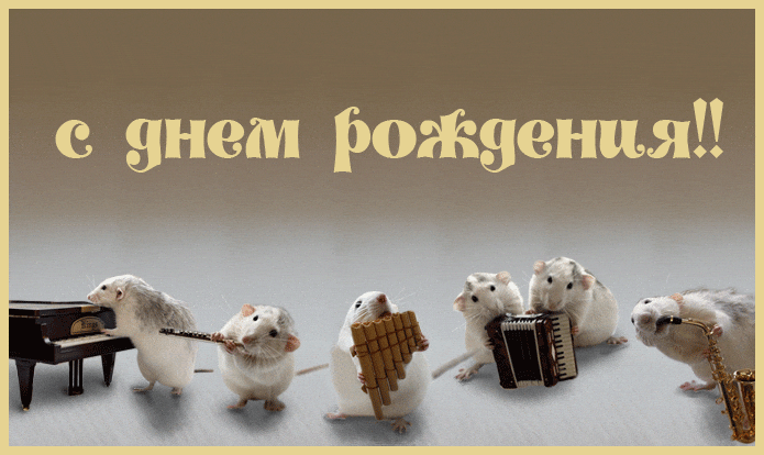 otkritka-s-dnem-rozhdeniya-46.gif
