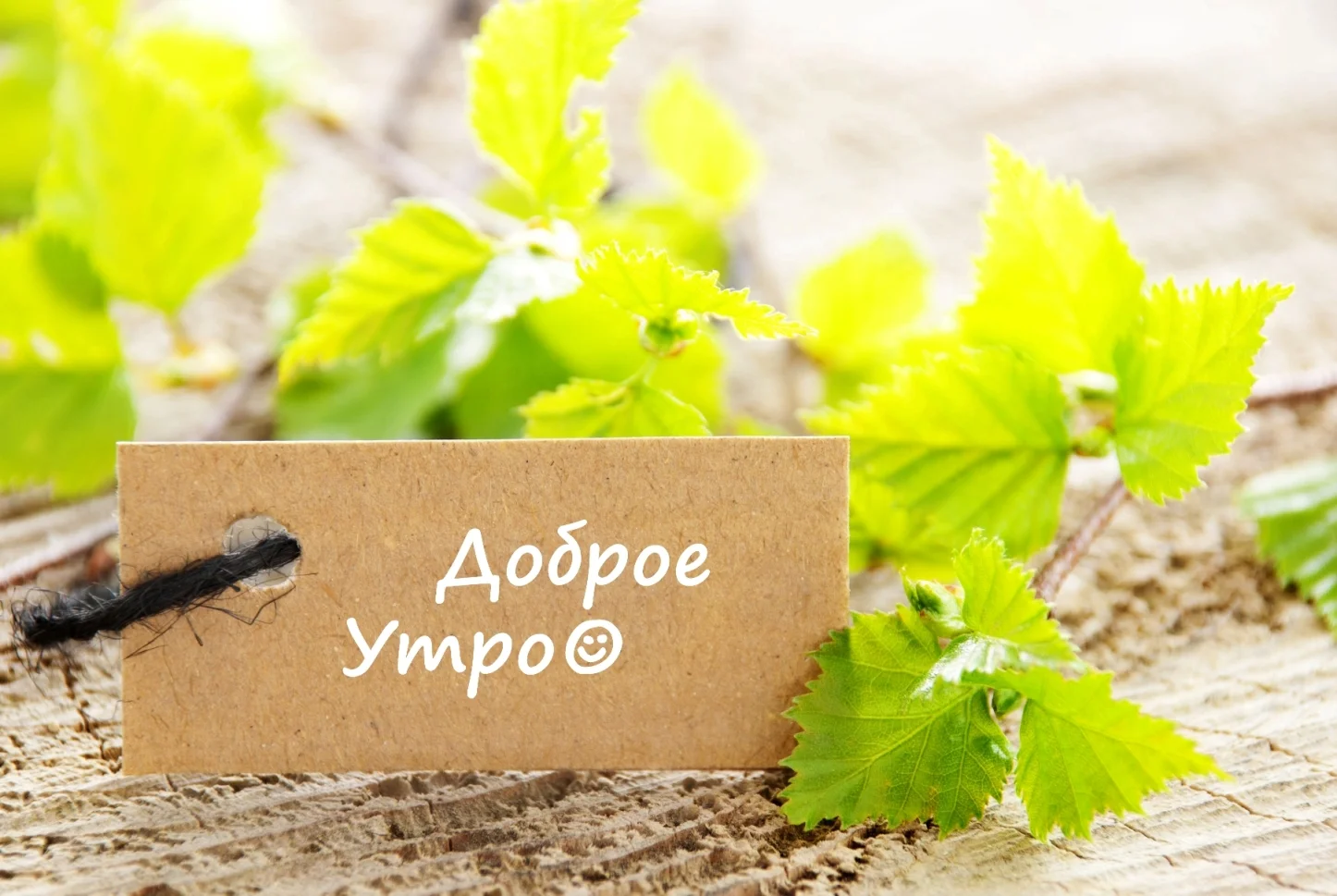 otkritka-s-dobrim-utrom-skachat-besplatno.webp