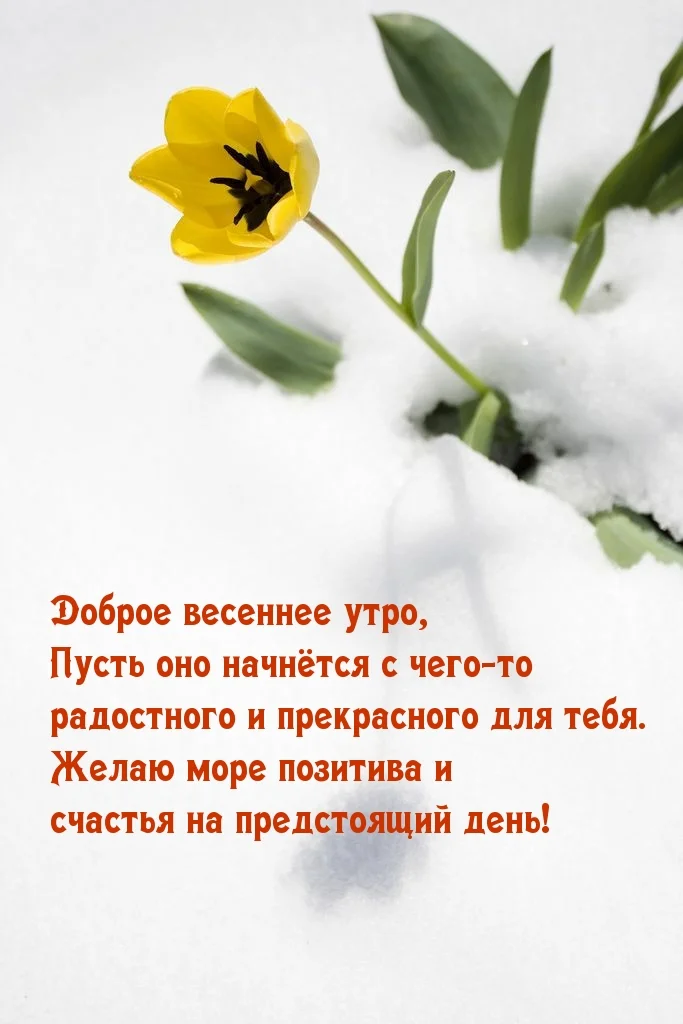 otkritkis_ru_ves_du_170.webp