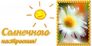 открытк.webp