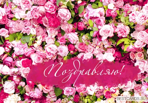 otkrytka-dlya-foruma-pozdravlyayu-s-rozami.webp