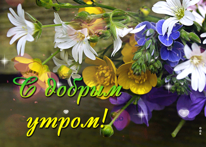 otkrytka-dobroe-utro-s-polevymi-tsvetami-94231.gif