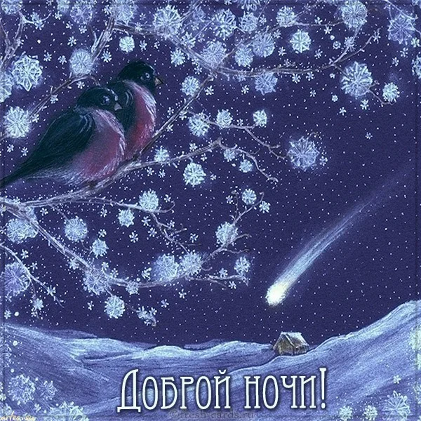 otkrytka-dobroj-nochi-zima.webp
