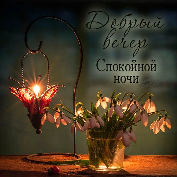 otkrytka-dobryj-vecher-i-spokojnoj-nochi-8a3b351.webp