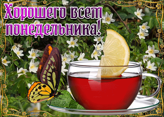 otkrytka-khoroshego-vsem-ponedelnika-7249.gif