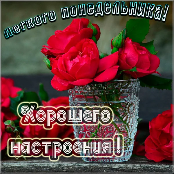 otkrytka-legkogo-ponedelnika-i-khoroshego-nastroeniya.webp