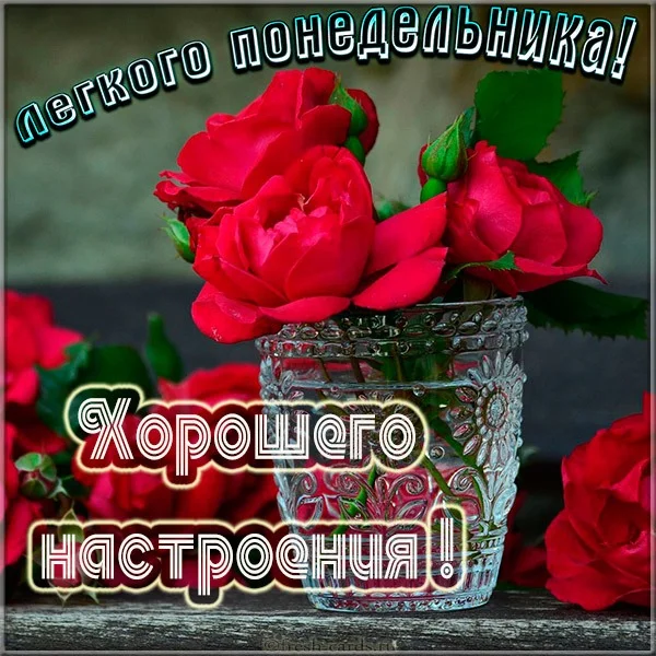 otkrytka-legkogo-ponedelnika-i-khoroshego-nastroeniya.webp