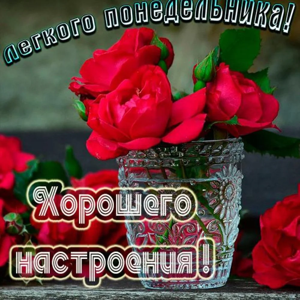 otkrytka-legkogo-ponedelnika-i-khoroshego-nastroeniya.webp