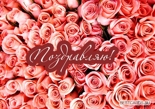 otkrytka-pozdravlyayu-s-alymi-rozami.webp