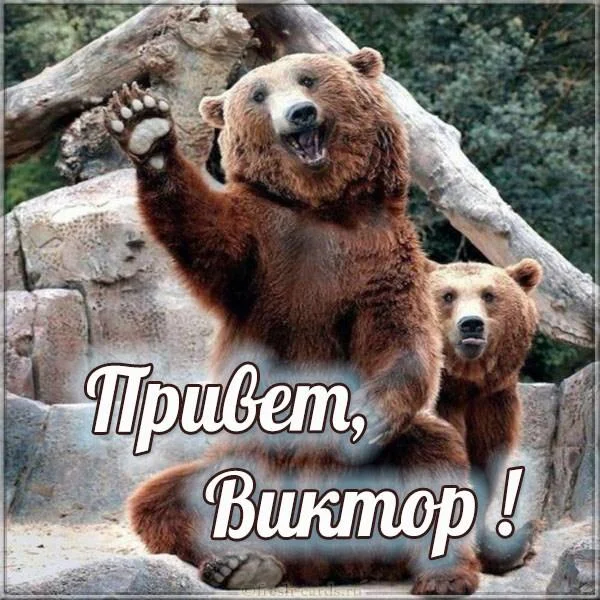otkrytka-privet-viktor.webp