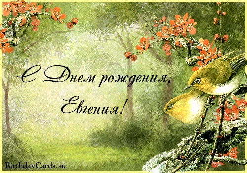 otkrytka-s-dnem-rozhdeniya-evgeniya.webp