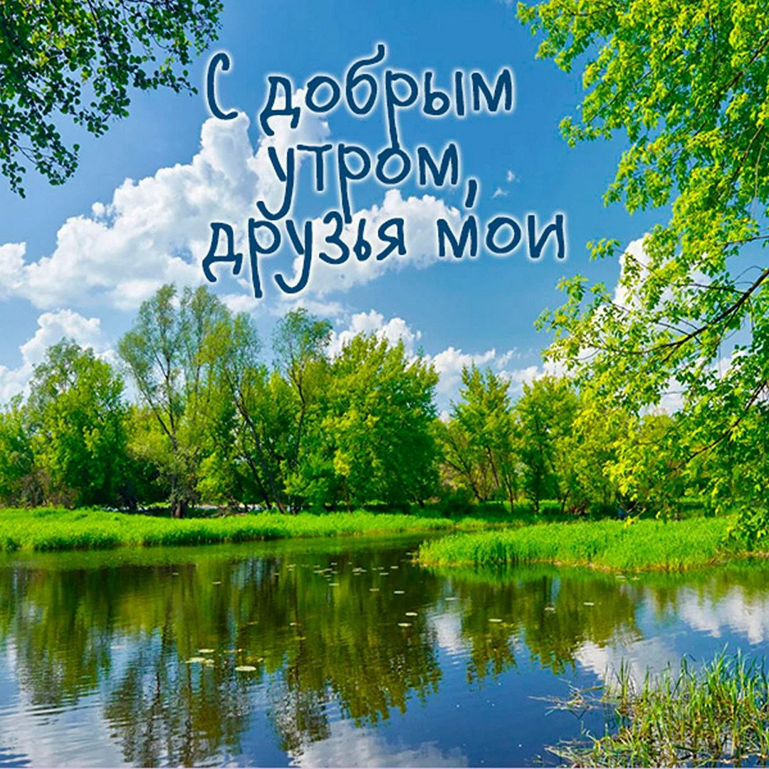 otkrytka-s-dobrym-outrom-drouzyam-letnyaya.webp