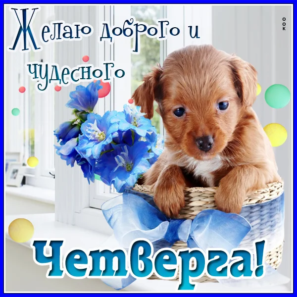 otkrytka-schastlivogo-chetverga-525.webp