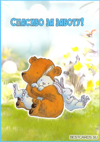 otkrytka-spasibo-za-zabotu.webp