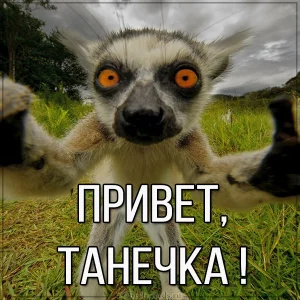 otkrytka-tanechka-privet.webp