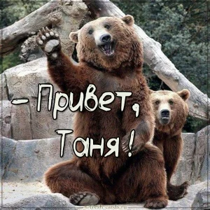 otkrytka-tanya-privet.webp