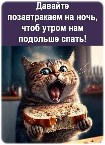 открытка_спокойной_ночи.webp