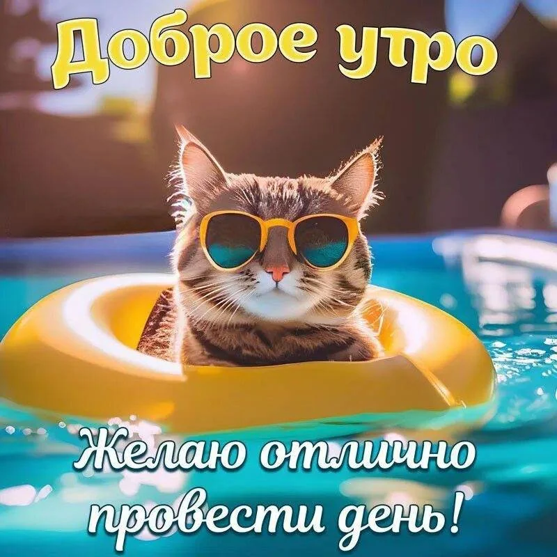 Открытки-доброе-утро-лето-и-август-2023_18.webp