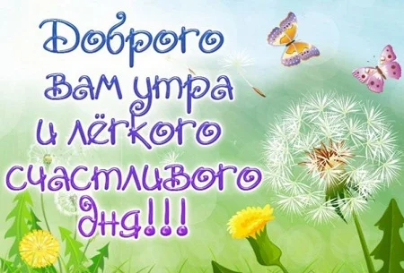 открытки-доброе-утро-хорошего-дня-мужчине.webp