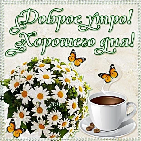 открытки-доброе-утро-хорошего-дня-открытки.webp