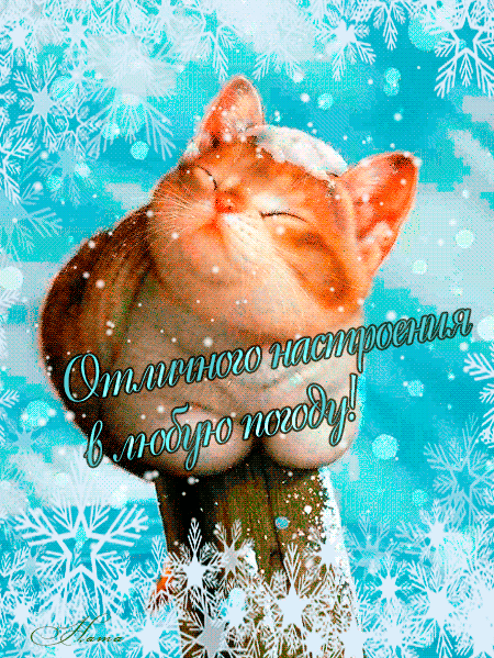 otkrytki-pro-horoshee-nastroenie-otkrytki-dlya-horoshego-nastroeniya-1101.gif