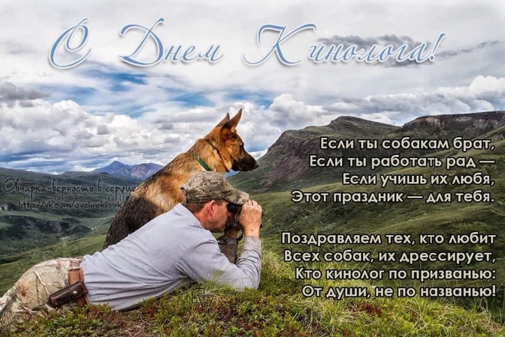 otkrytki-s-dnem-kinologa-12.webp