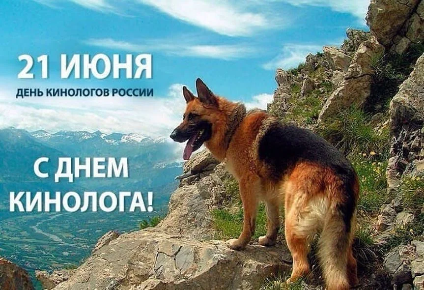 otkrytki-s-dnem-kinologa-18.webp