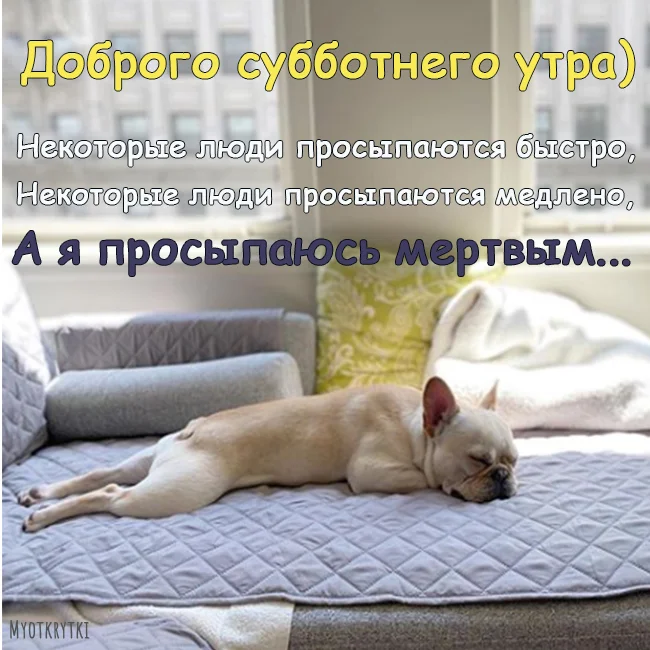 otkrytki-s-dobrym-utrom-subboty-prikolnye.webp