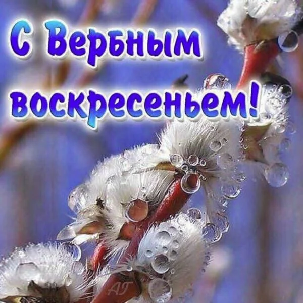 otkrytki-s-verbnym-voskresenem-s-pozdravlenijami.webp