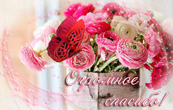 otkrytki-so-slovami-bolshoe-spasibo-ogromnaya-blagodarnost-127.gif