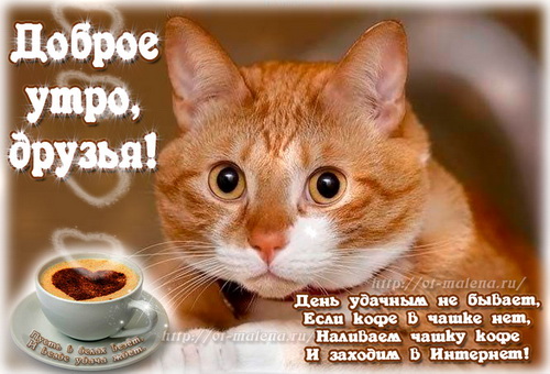 отличного дня 09.jpg