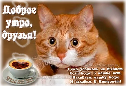 отличного дня 09.webp