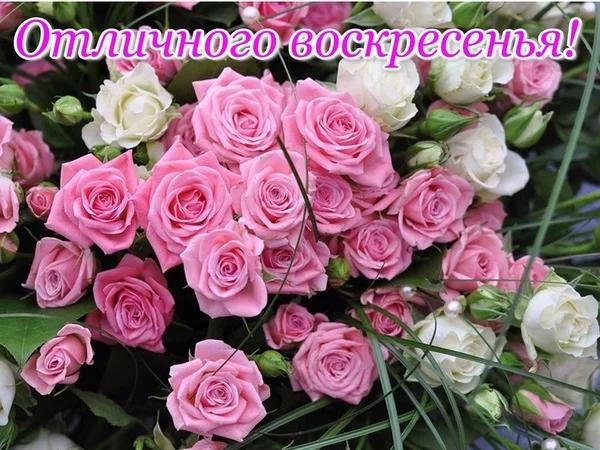 otlichnogo-voskresenya.webp