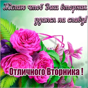 otlichnogo-vtornika-otkrytka-krasivaya.webp