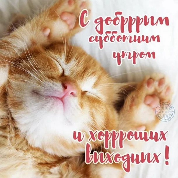 отличных выходных 11.webp